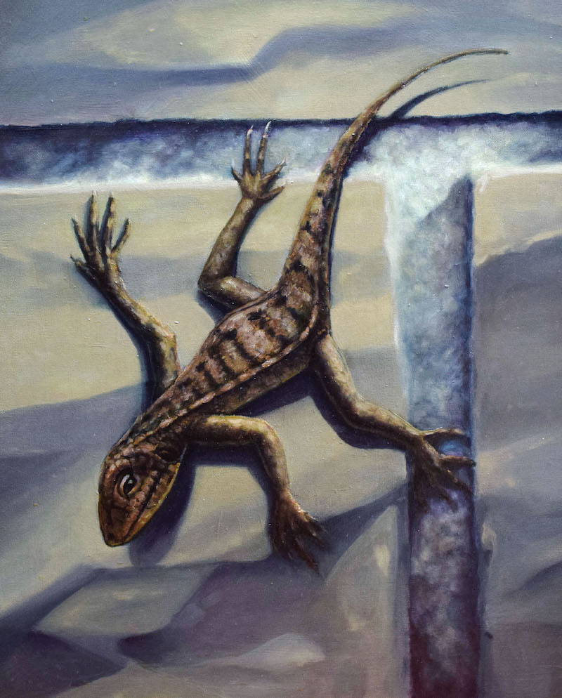 Lizard